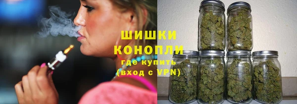 мдпв Пестово