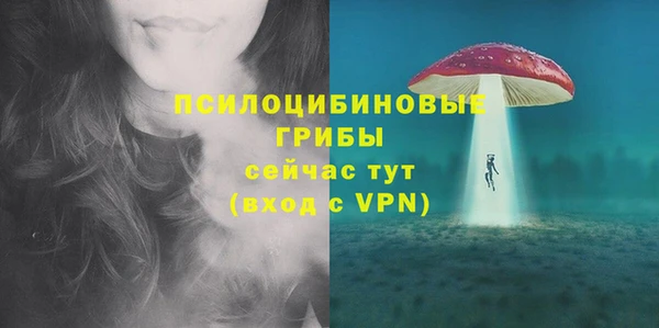а пвп мука Бутурлиновка