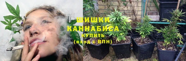 прущая мука Пересвет