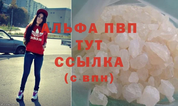PSILOCYBIN Покров