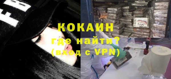 мдпв Пестово
