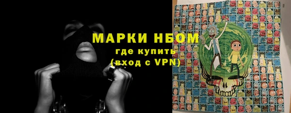 мдпв Пестово