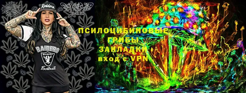 Псилоцибиновые грибы MAGIC MUSHROOMS  Выборг 