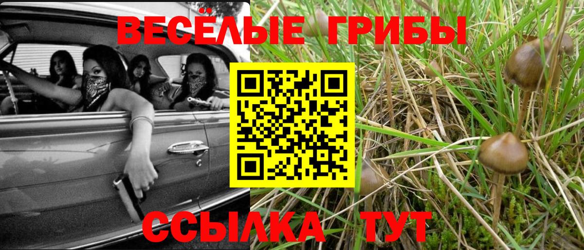 Псилоцибиновые грибы мухоморы Выборг