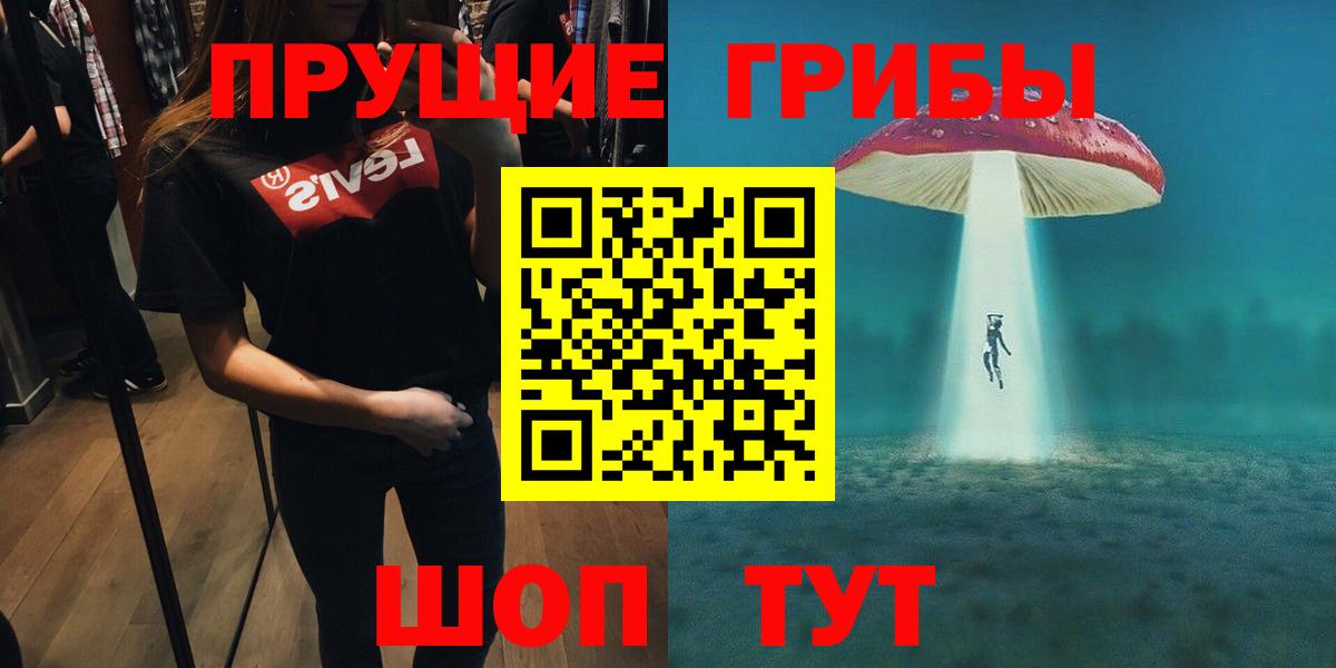 Галлюциногенные грибы Psilocybe Выборг