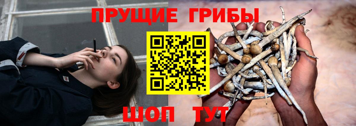 Амфетамин кристаллы  Альфа ПВП СК   Кокаин  Меф кристаллы  Выборг  Гашиш  Конопля 